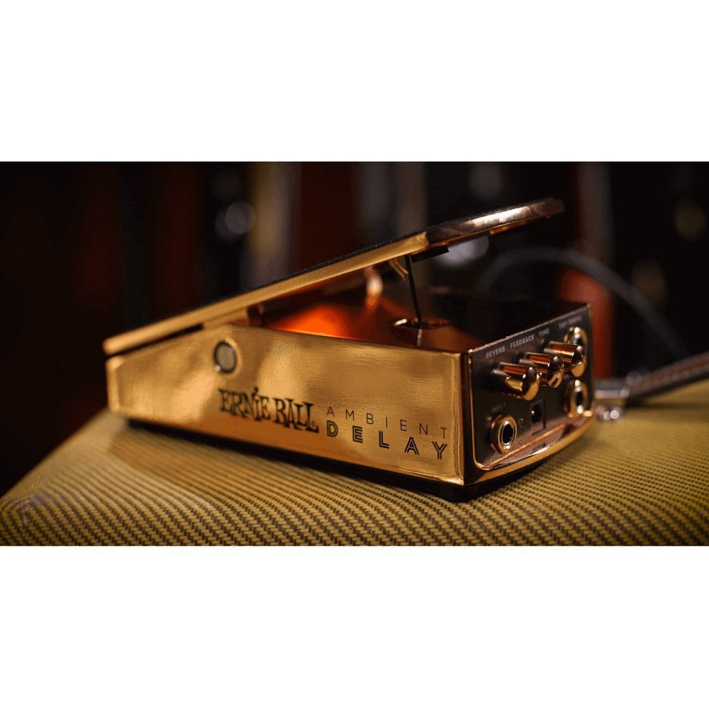 Ernie Ball Ambient Delay