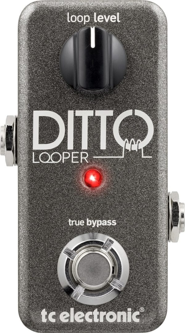 TC Electronic Ditto Looper - Tonebox.com