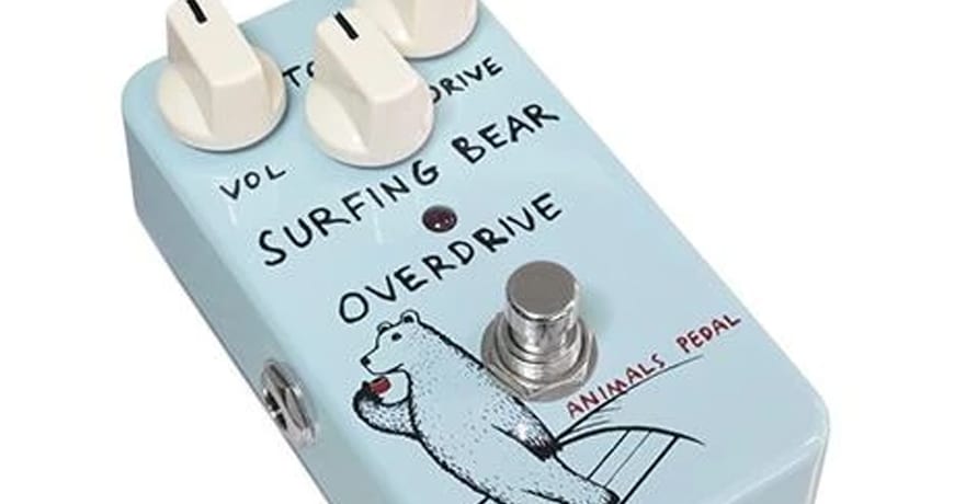 Animals Pedal Surfing Bear